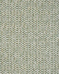 Greenhouse S5702 by  Greenhouse Fabrics 