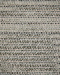 Greenhouse S5704 by  Greenhouse Fabrics 
