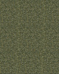 Greenhouse S5707 by  Greenhouse Fabrics 