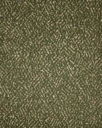 Greenhouse S5710 by  Greenhouse Fabrics 