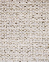 Greenhouse S5773 by  Greenhouse Fabrics 