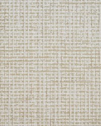 Greenhouse S5777 by  Greenhouse Fabrics 