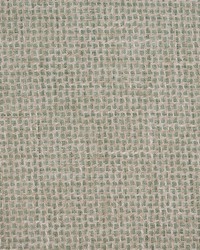 Greenhouse S5789 by  Greenhouse Fabrics 
