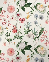 Greenhouse S5846 by  Greenhouse Fabrics 