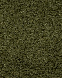 Greenhouse S5892 by  Greenhouse Fabrics 