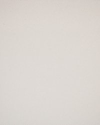 Greenhouse S5908 by  Greenhouse Fabrics 