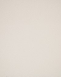 Greenhouse S5910 by  Greenhouse Fabrics 