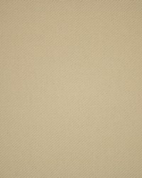 Greenhouse S5911 by  Greenhouse Fabrics 