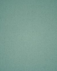 Greenhouse S5934 by  Greenhouse Fabrics 