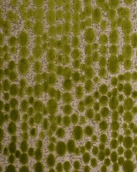 Greenhouse S6032 by  Greenhouse Fabrics 