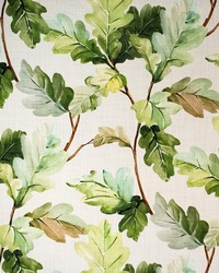 Greenhouse S6036 by  Greenhouse Fabrics 