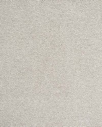 Greenhouse S6041 by  Greenhouse Fabrics 