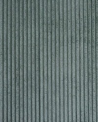 Greenhouse S6061 by  Greenhouse Fabrics 