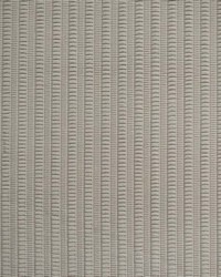 Greenhouse S6079 by  Greenhouse Fabrics 