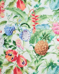 Greenhouse S6413 by  Greenhouse Fabrics 