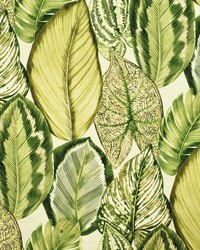 Greenhouse S6415 by  Greenhouse Fabrics 