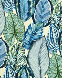 Greenhouse S6416 by  Greenhouse Fabrics 