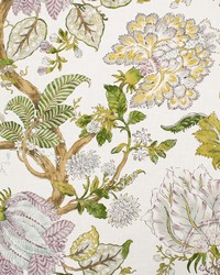 Greenhouse S6417 by  Greenhouse Fabrics 