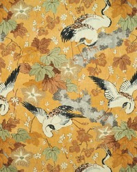 Greenhouse S6428 by  Greenhouse Fabrics 