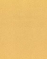 Greenhouse S6460 by  Greenhouse Fabrics 