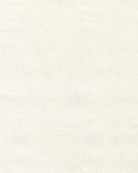 Greenhouse S6465 by  Greenhouse Fabrics 