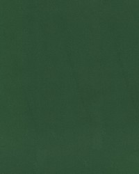 Greenhouse S6477 by  Greenhouse Fabrics 