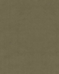 Greenhouse S6478 by  Greenhouse Fabrics 