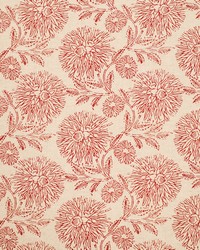 Greenhouse S6511 by  Greenhouse Fabrics 