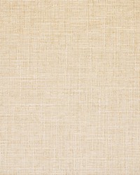 Greenhouse S6546 by  Greenhouse Fabrics 