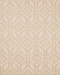 Greenhouse S6574 by  Greenhouse Fabrics 