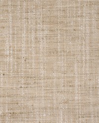 Greenhouse S6613 by  Greenhouse Fabrics 