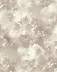 Merryweather Neutral by   