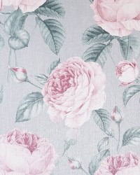 Rosaline Light Grey by   