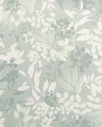 Wanda Light Green by   