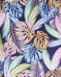 Vivette Multicolor by   