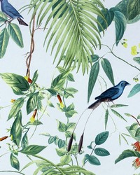 Nanette Light Blue by   