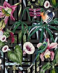 Lucretia Multicolor by   