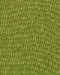Glynn Linen 208 Apple Green by   