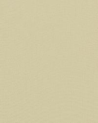 Haven 101 Antique White by  Covington 