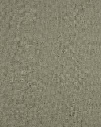 Haven 11 Natural by  Covington 