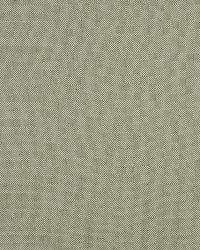 Haven 503 Serenity by  Covington 