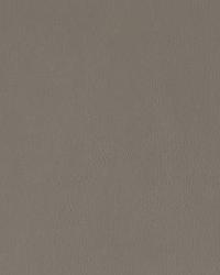 INDEPENDENCE IRON by  Stout 