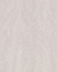 Shimmering Moire Dove by   