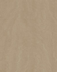 Shimmering Moire Taupe by   