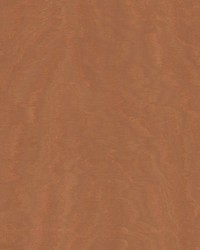 Shimmering Moire Copper by   