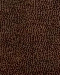 NOSEDA CHOCOLATE by  Stout 