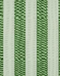 Riley 28 Verde by  Covington 