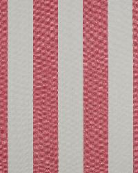 Riley 428 Raspberry by  Covington 