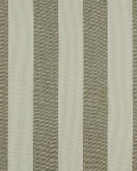 Riley 619 Truffle by  Covington 