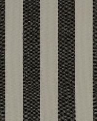 Riley 912 Kohl by  Covington 